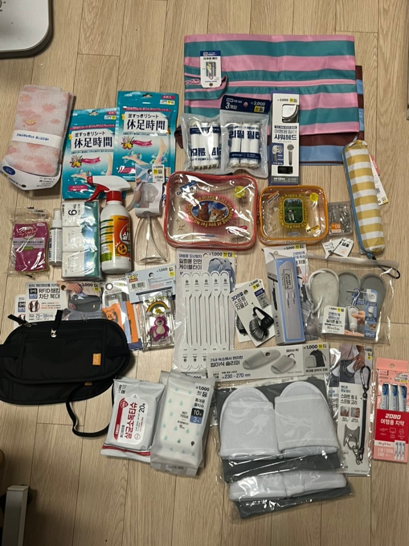 첫 유럽여행 준비물 리스트, 다이소 완전무장으로 소매치기 0회 성공, 준비물 꿀팁