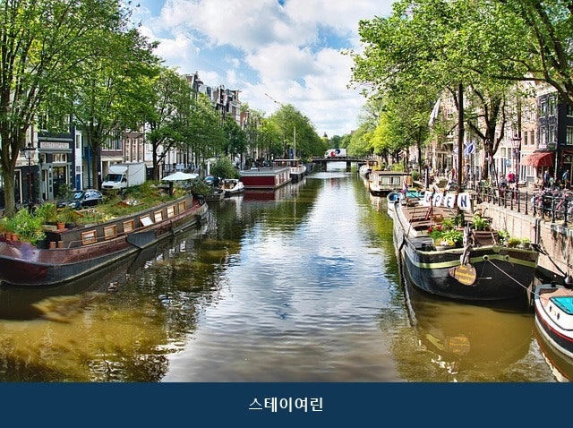 제주 스테이여린 사진 4