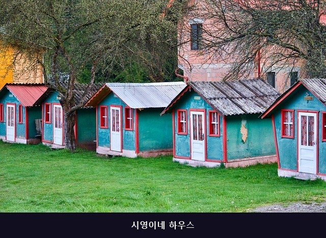 시영이네하우스 사진 2