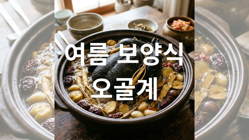 오골계의 효능과 약용 가치 및 올바른 섭취 방법