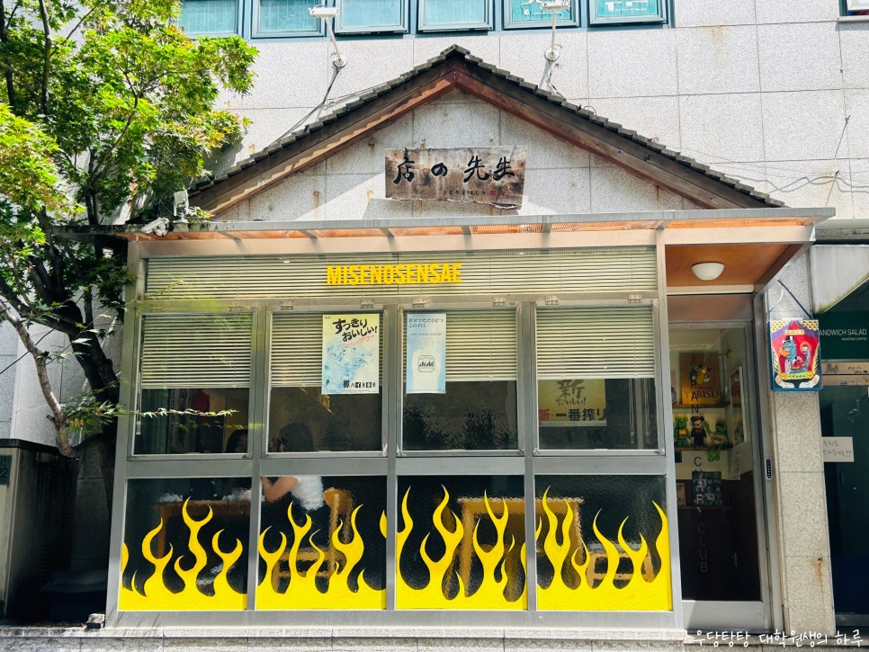 미세노센세 사진 2