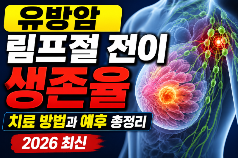 유방암 림프절 전이 생존율 얼마나 될까? 치료 방법과 예후 총정리 (2026 최신)