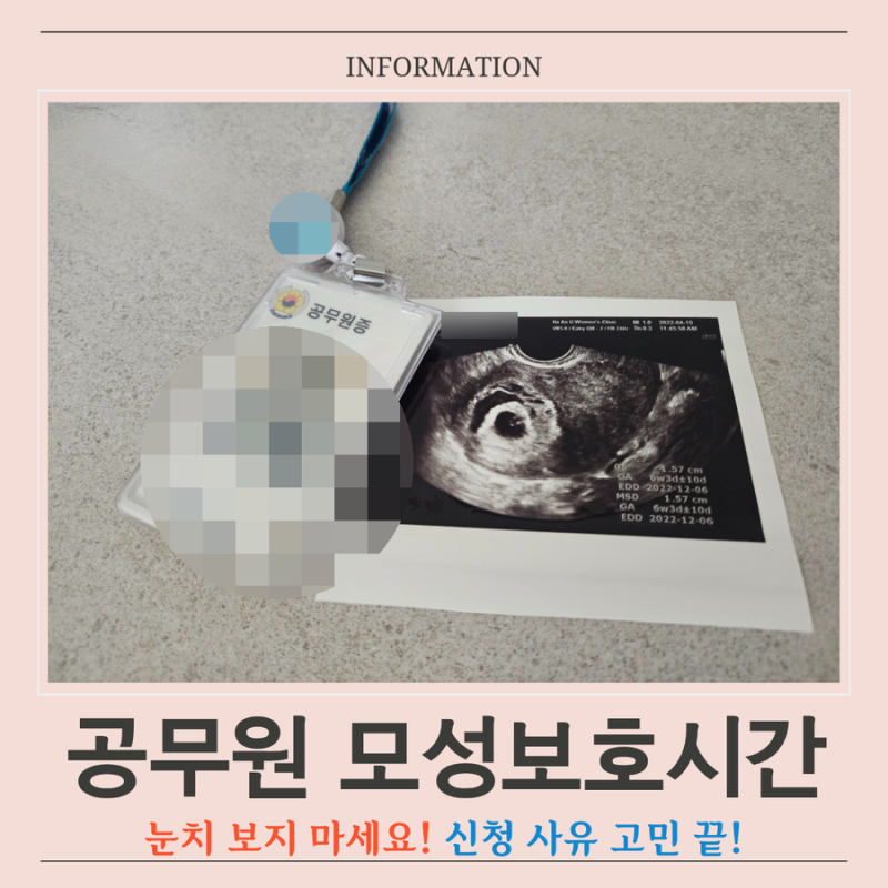 공무원 모성보호시간 임신 전기간 눈치 보지 말고 활용하는 완벽 가이드