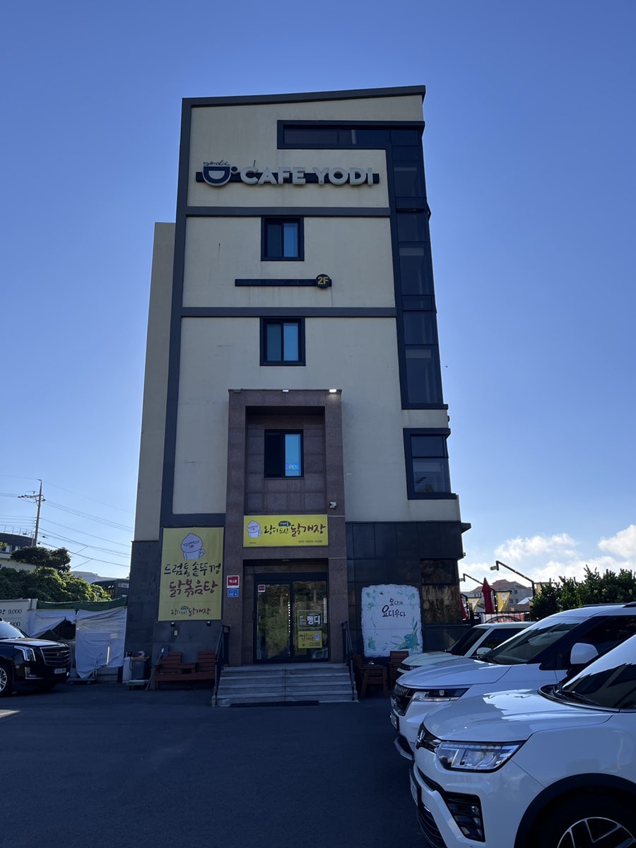 벵디 사진 2