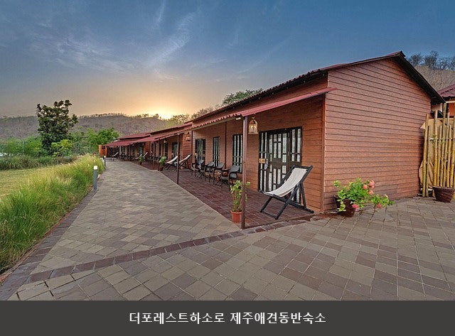 더포레스트 사진 3