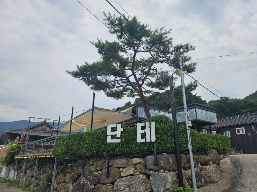 단테 사진 2