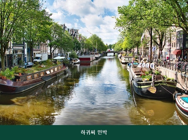 하귀씨 민박 사진 4