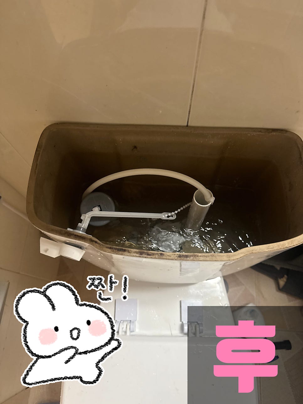 소리 사진 2