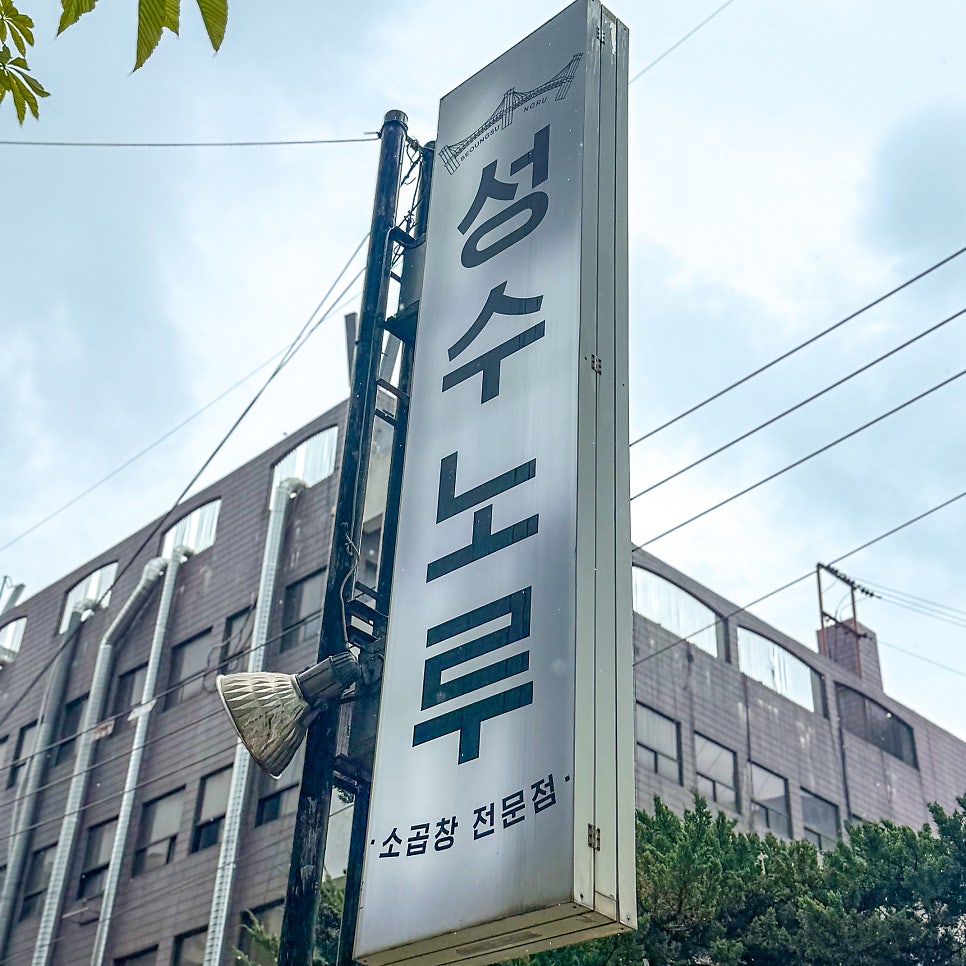성수노루 사진 3