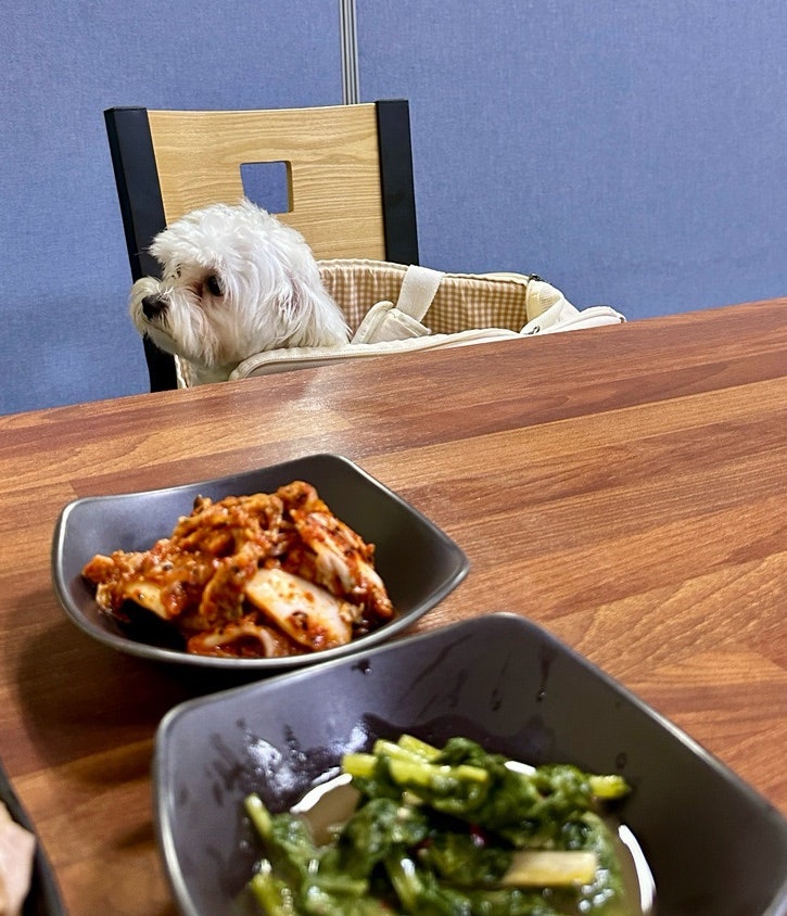 밀박칼국수 본점 사진 3