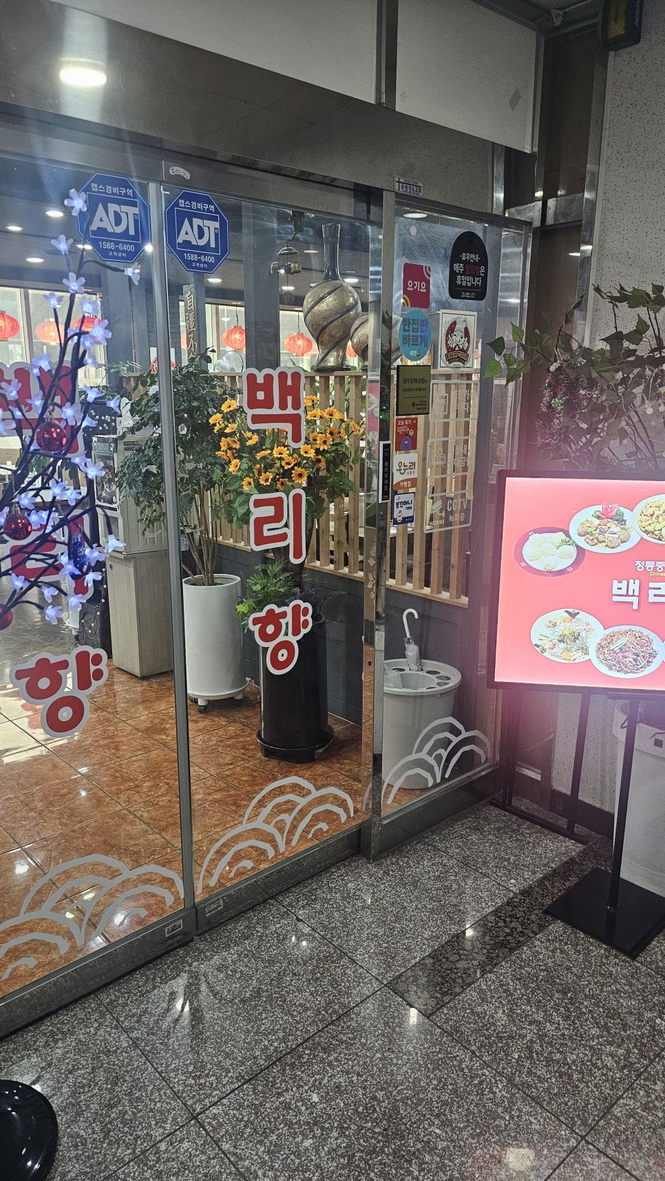 백리향 사진 4