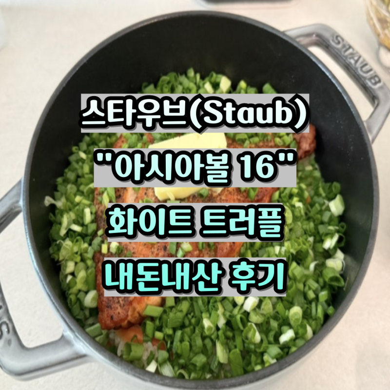 스타우브 아시아볼16 화이트 트러플 장점과 단점 솔직 후기 고민 끝에 선택한 무쇠냄비