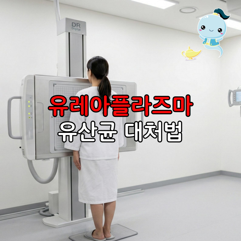유레아플라즈마 유산균 대처, 소변볼 때 찌릿해서 산부인과 갔다가 알게 된 예방 관리법