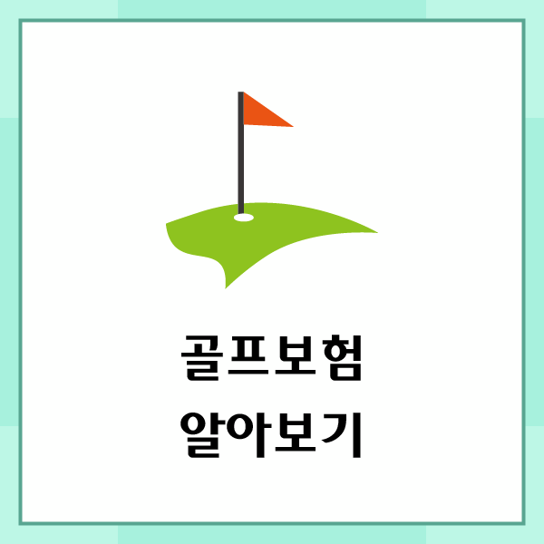 삼성화재골프보험 좋은 가격으로 구성해보세요