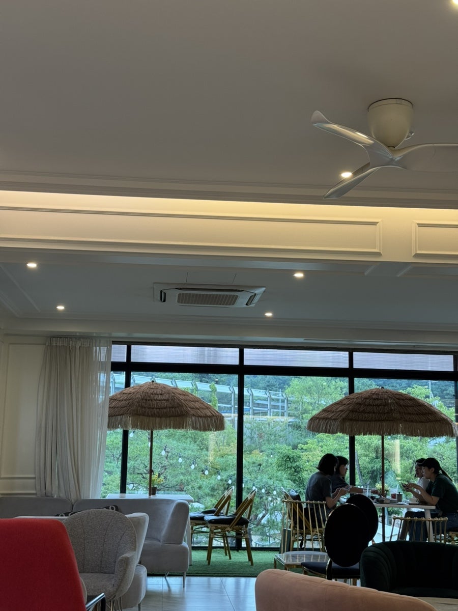 보나리베 사진 2