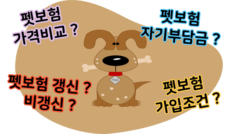 펫보험 비갱신 가입조건 및 3대 보험사 가격비교(자기부담금)