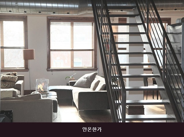 안온한가 사진 1
