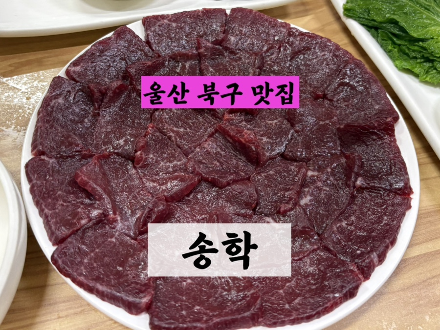 송학 사진 1