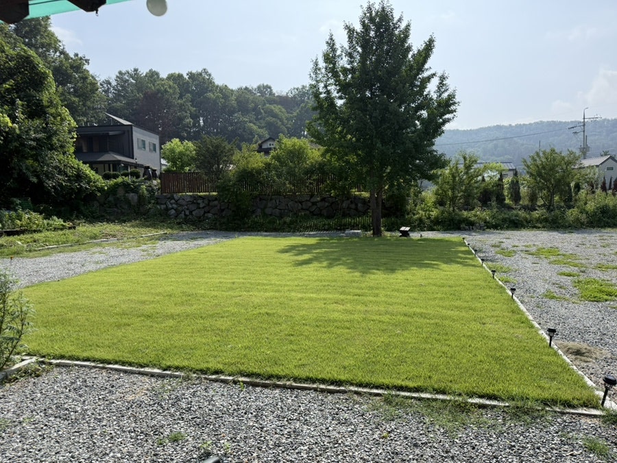 더문 사진 2
