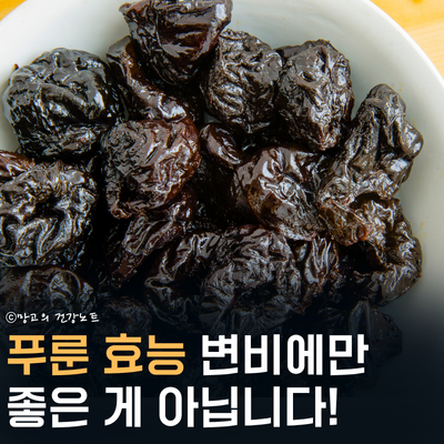 건자두 푸룬 효능 변비에만 좋을까?｜부작용, 권장량, 먹는법
