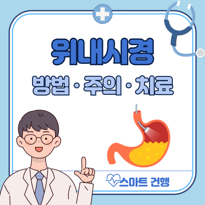 위내시경 금식 시간, 물 가능할까? 비용, 주기, 전날 음식