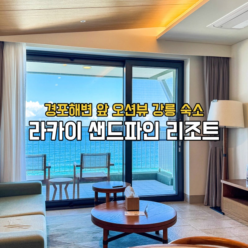 라카이 샌드파인 리조트 강원도 강릉 숙소 추천 4인 경포해변 오션뷰