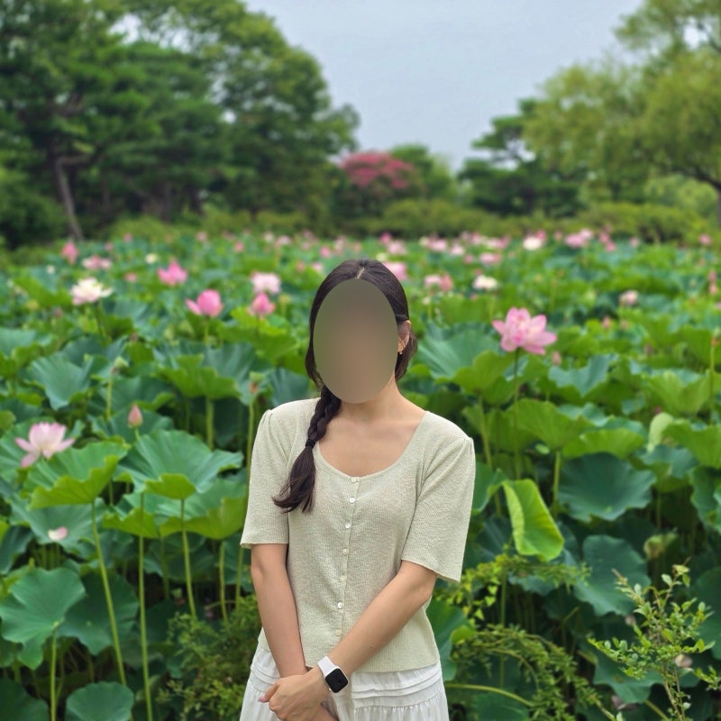 충남 부여 가볼만한곳 궁남지 연꽃, 서동연꽃축제 끝나도 예뻐요!