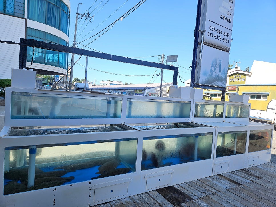 사천포구횟집 사진 4