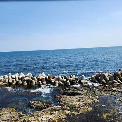 홍게무한리필 사진 4