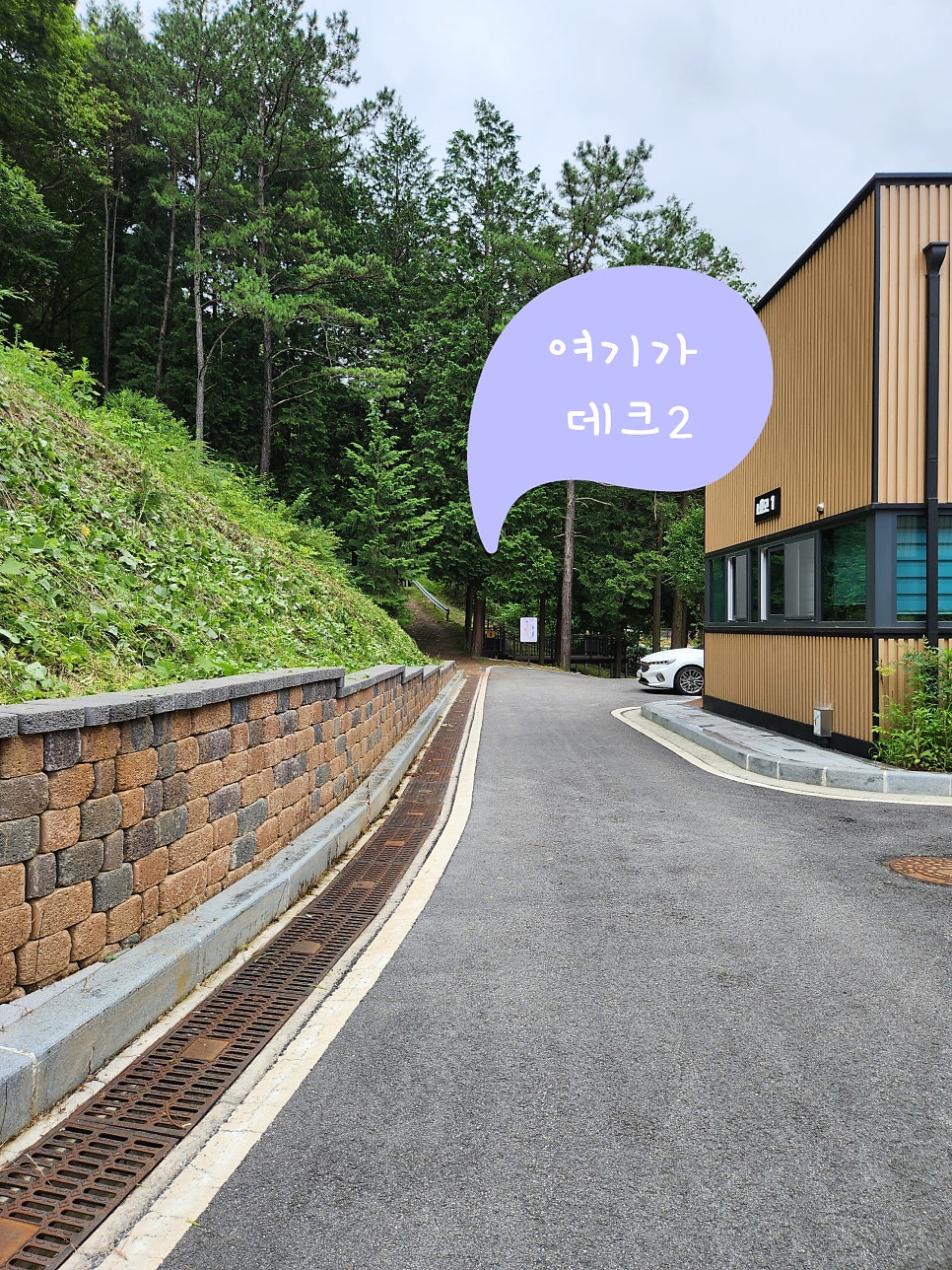 성수산 왕의숲 숲속야영장 사진 2