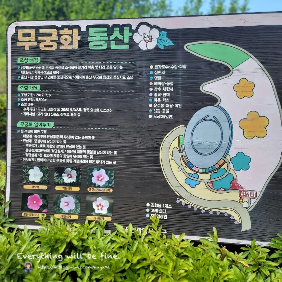 아나카페 고래마을점 사진 2