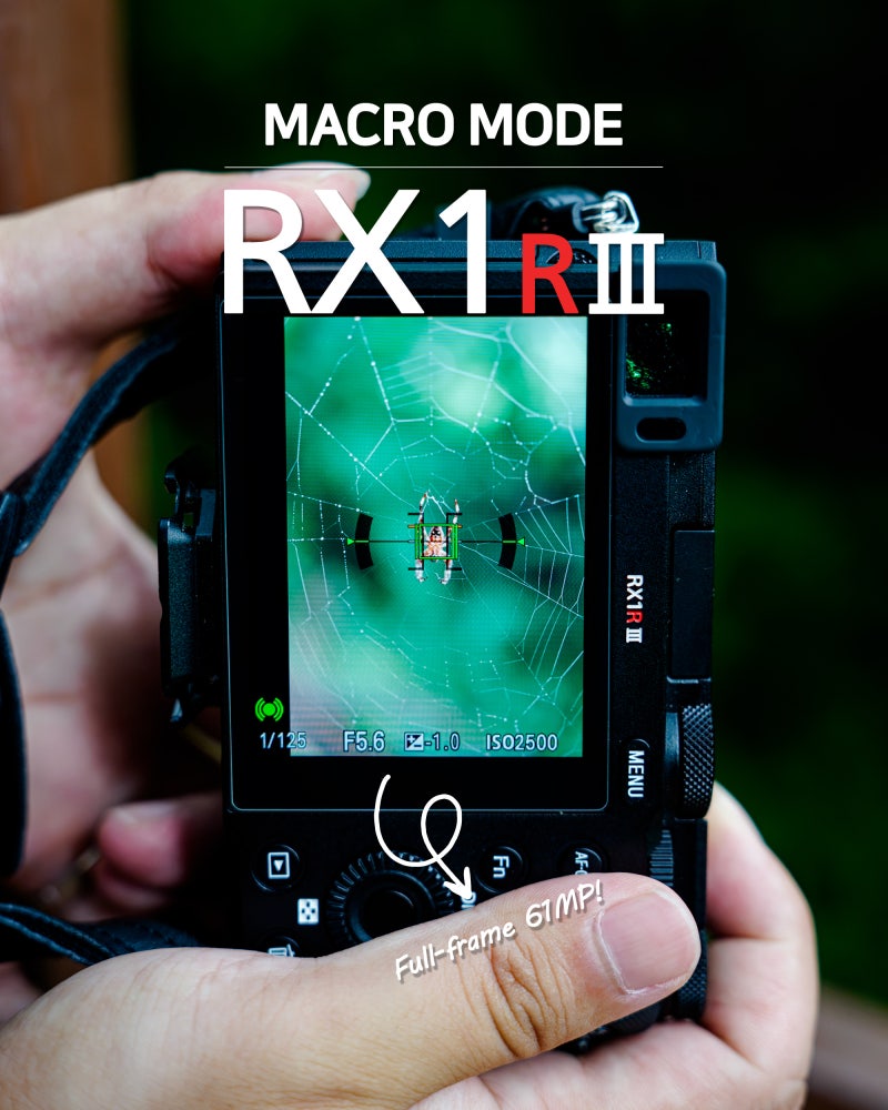 소니 RX1R3, 손바닥만 한데 접사가 꽤 좋네?