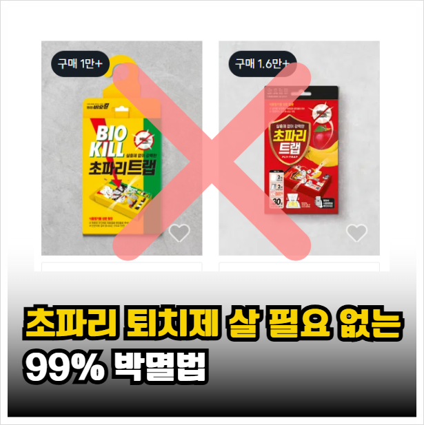 매일 청소해도 생기는 초파리 없애는 법, 효과 99%