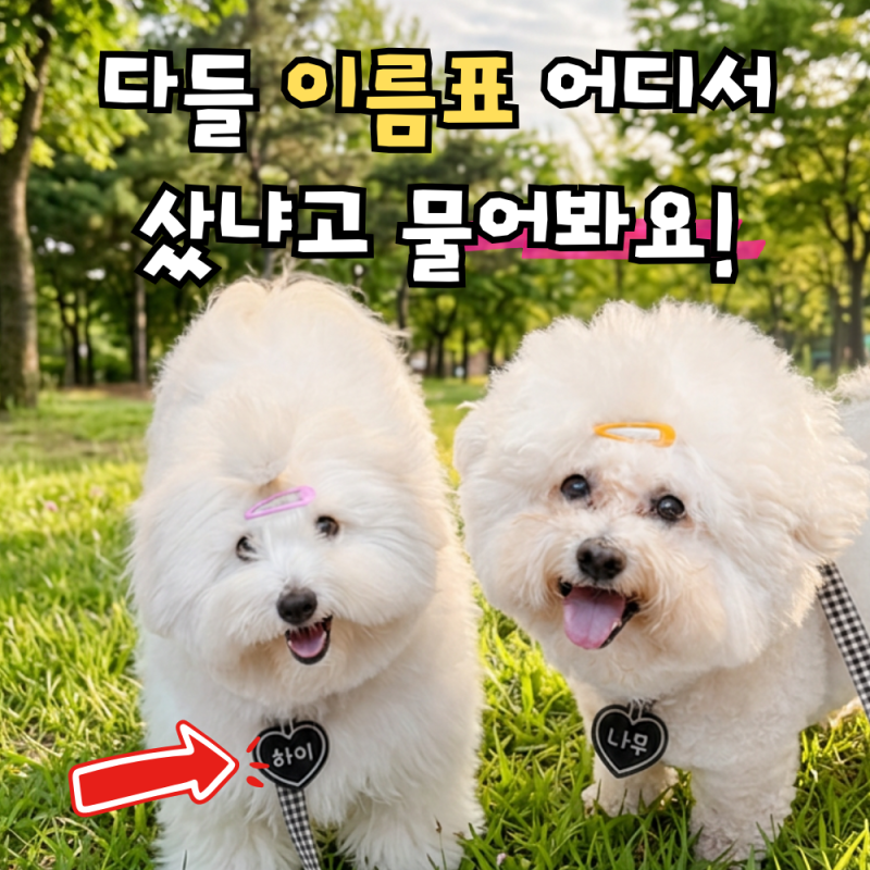 강아지 이름표 네임택, 매일 쓰는 예쁜 인식표