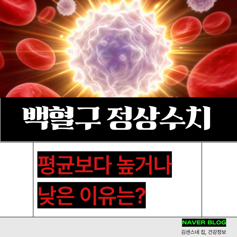 백혈구 수치 낮으면 높으면 원인;정상수치 관리법