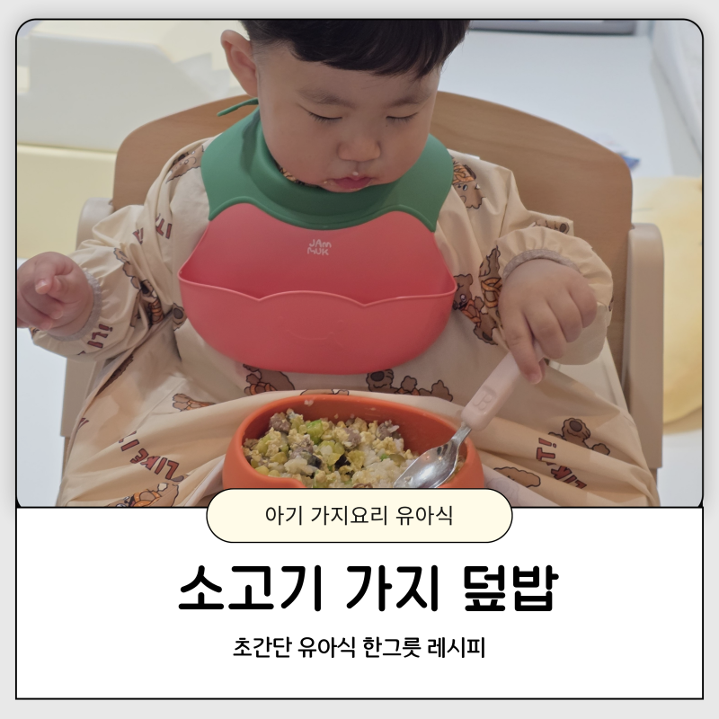 아기 가지요리 소고기 애호박 가지 덮밥 16개월 유아식 한그릇 레시피