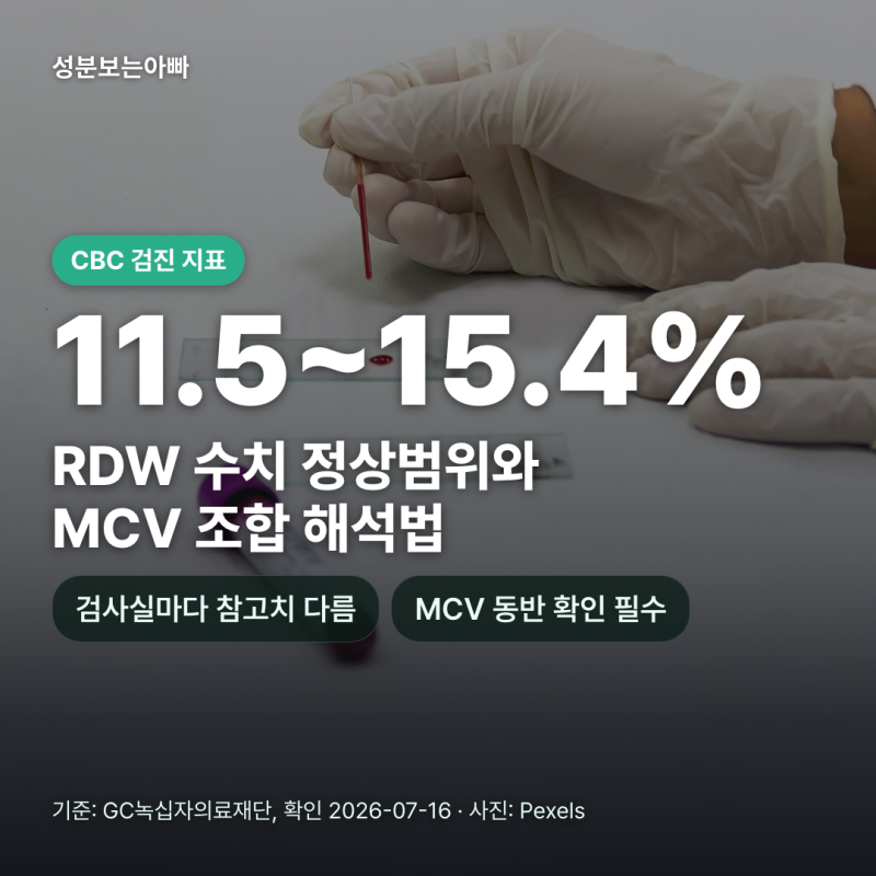 RDW 수치 뜻과 정상범위, 검진 결과지에서 MCV와 함께 해석하는 이유
