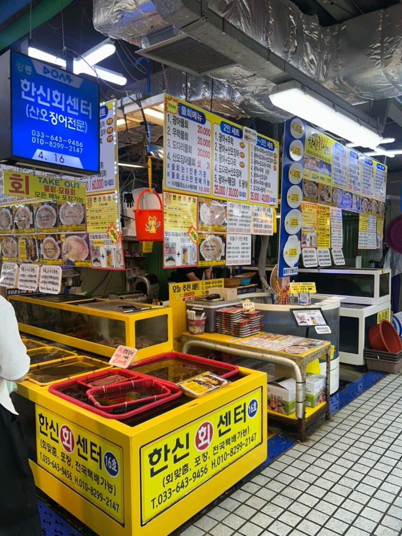 강릉 중앙시장 가성비 회포장 맛집 한신회센터 내돈내산 후기 (광어+산오징어 2인 23,000원)