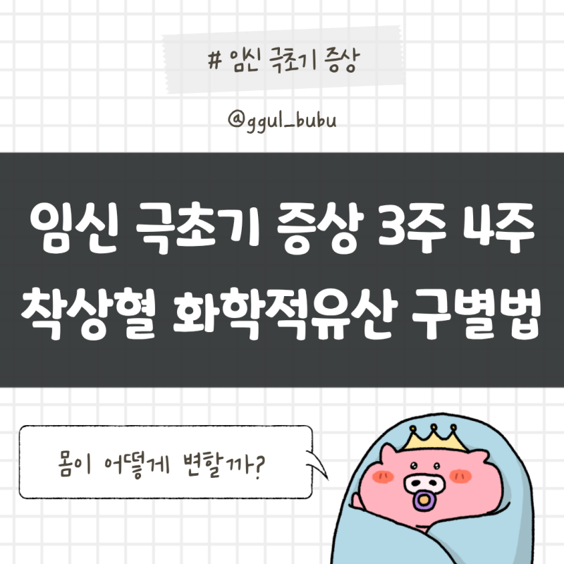 임신 극초기 증상 3주 4주 착상혈 화학적유산 구별하는 법