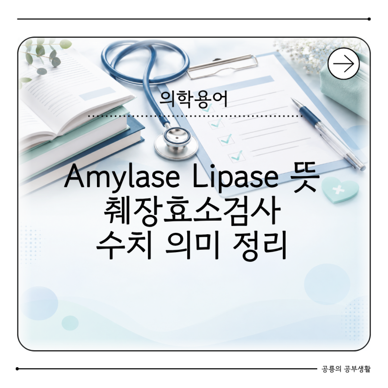 Amylase Lipase 뜻 무엇일까? 췌장효소검사 수치 정리