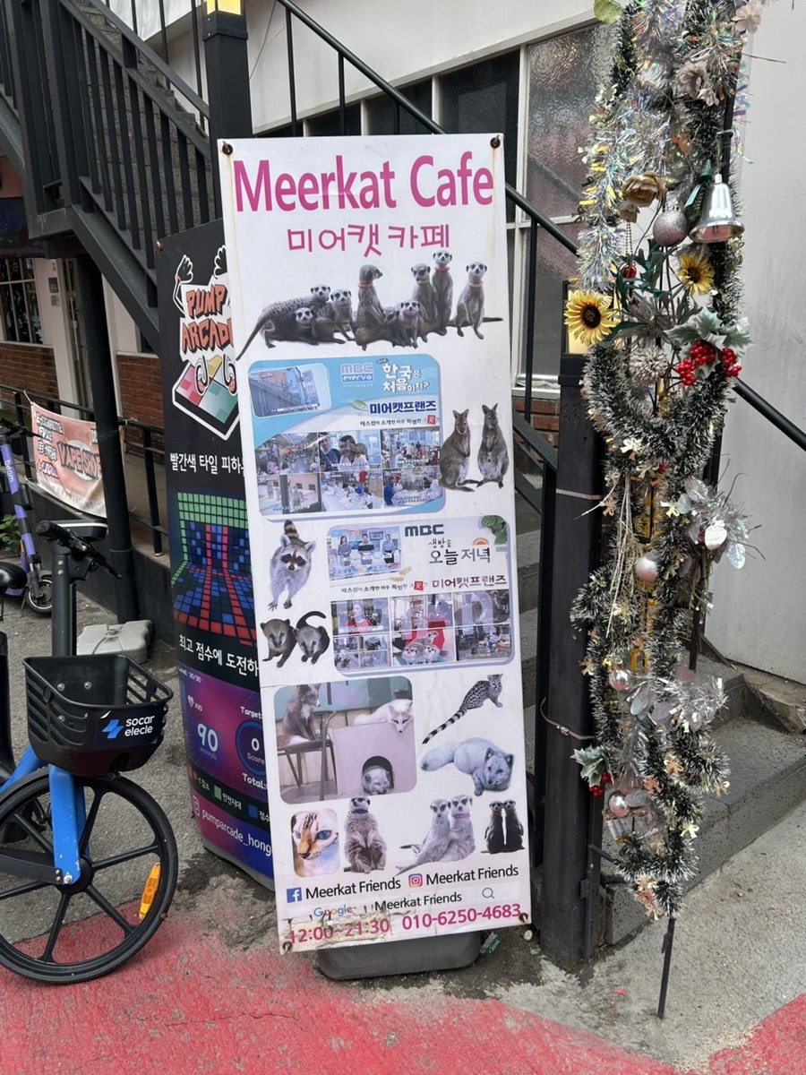 미어캣프랜즈 사진 2