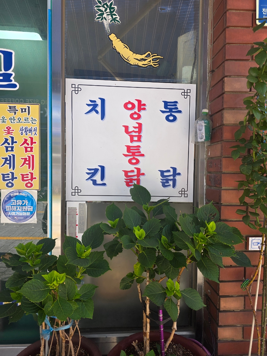 부일삼계탕 사진 2