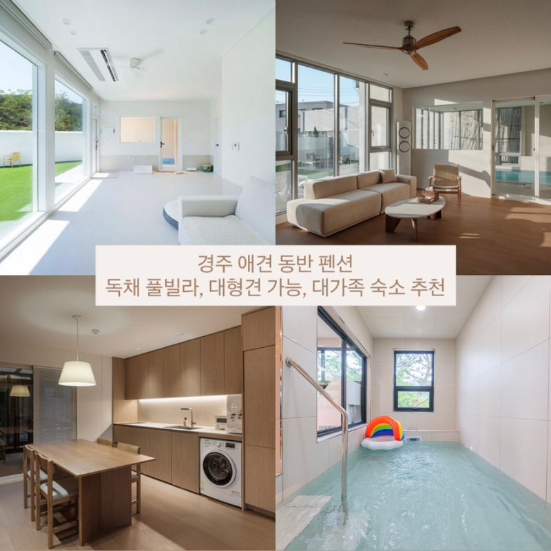 경주 애견동반 펜션 독채 풀빌라, 대형견까지 가능한 숙소 모음집