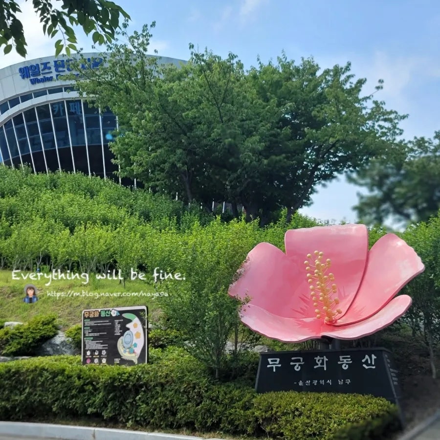 아나카페 고래마을점 사진 1