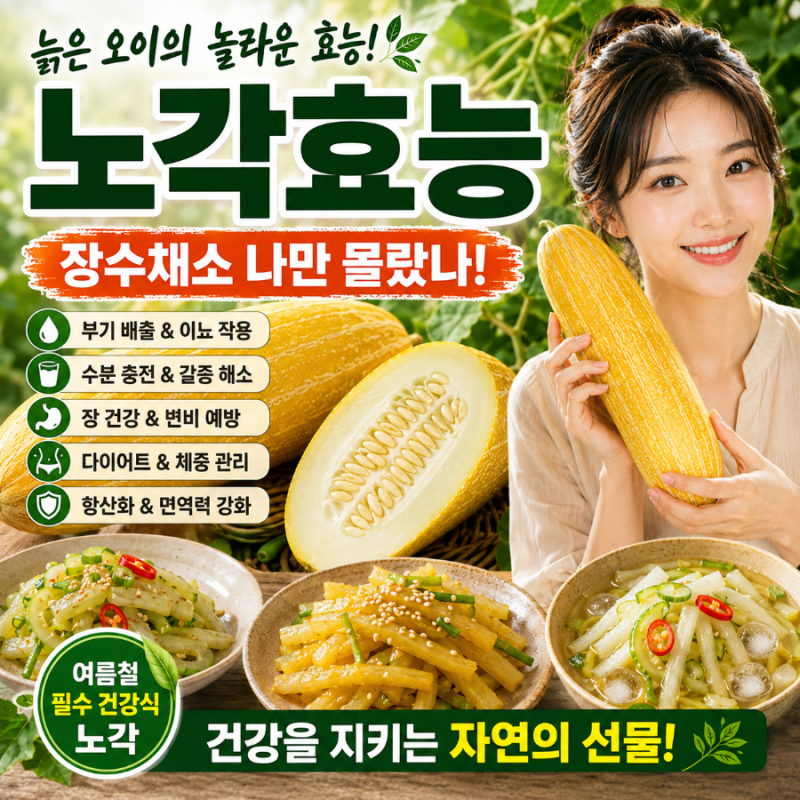 노각효능, 늙은 오이의 놀라운 효능! 장수채소 나만 몰랐나!