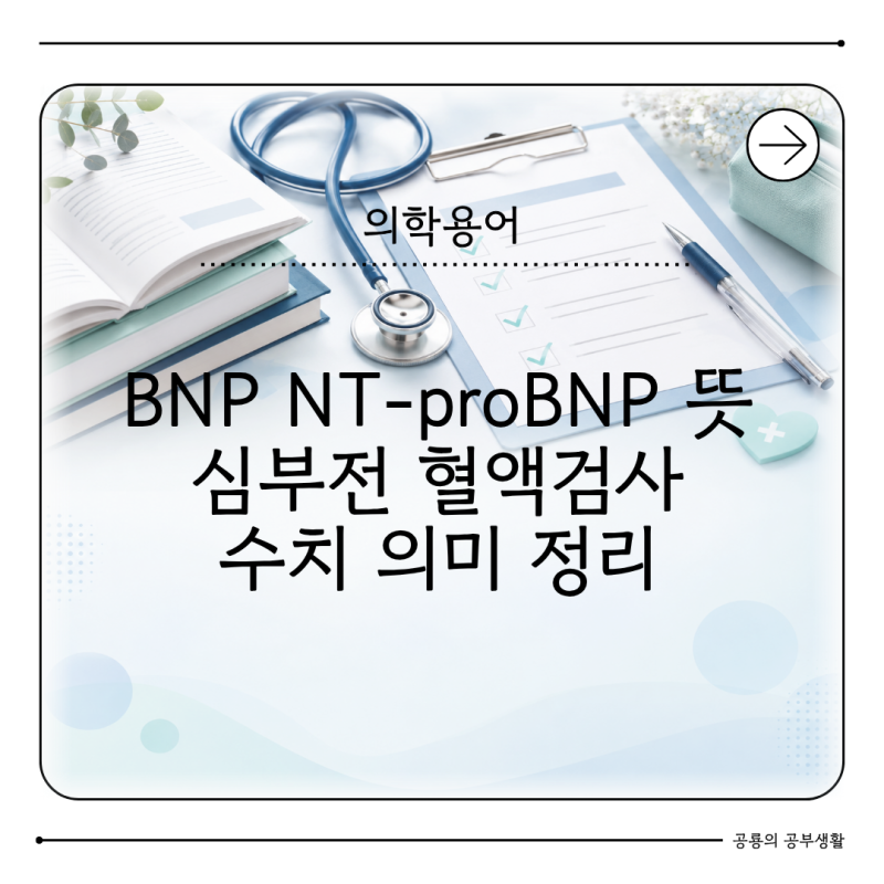 BNP NT-proBNP 뜻 무엇일까? 심부전 혈액검사 수치 정리