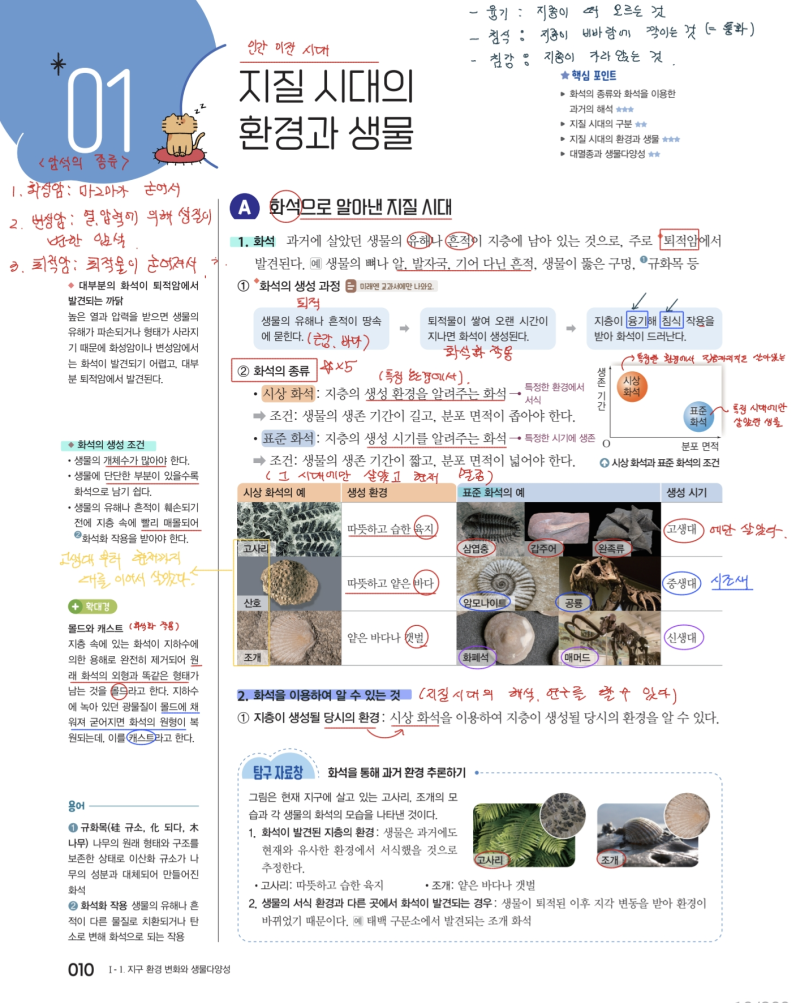 [화성봉담과학]  [완자 통합과학2] "지질시대의 환경과 생물" 봉담고1, 와우고1, 화담고1 통합....