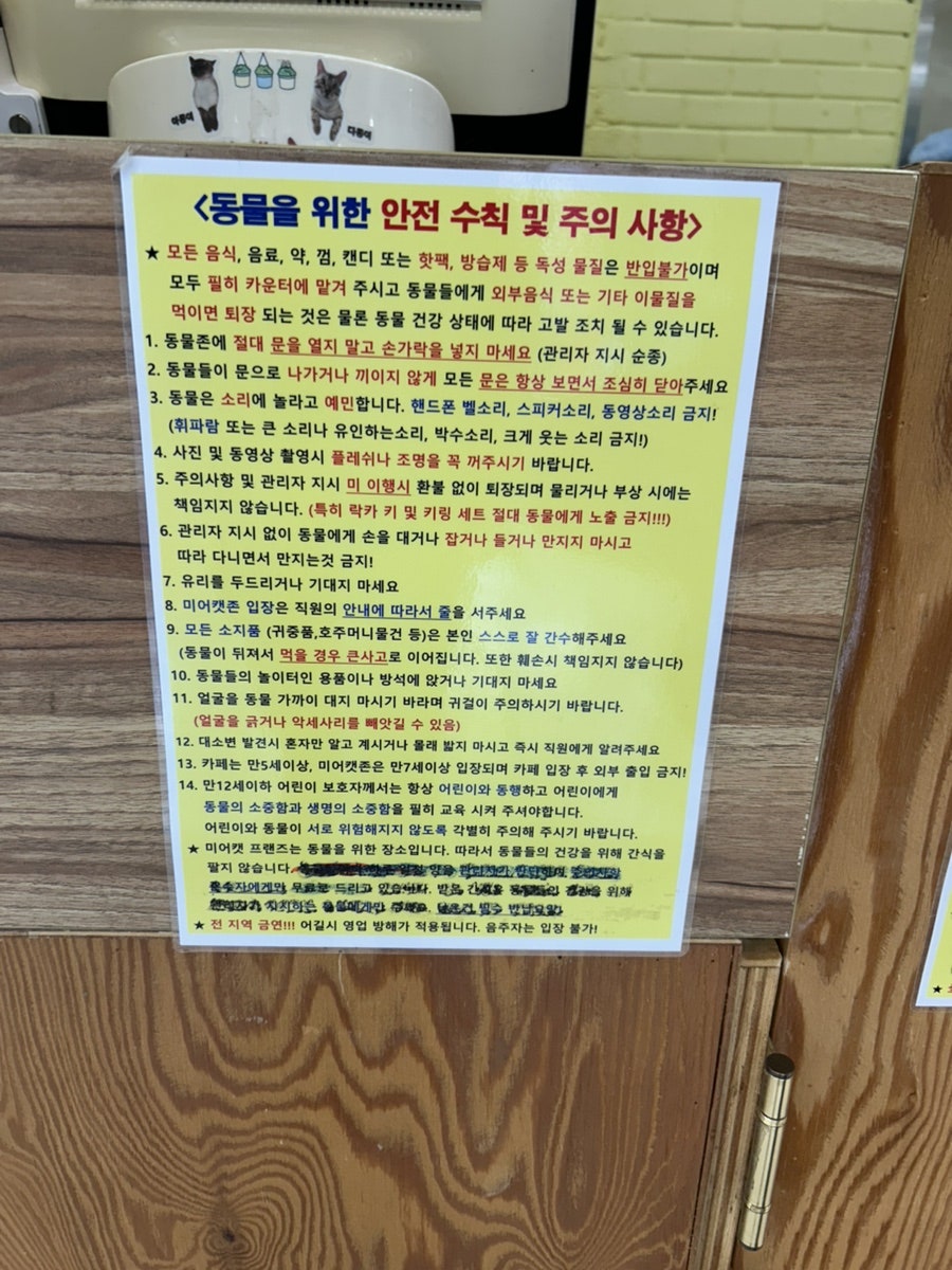 미어캣프랜즈 사진 6