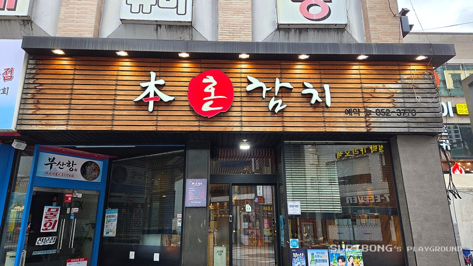 혼참치 사진 1