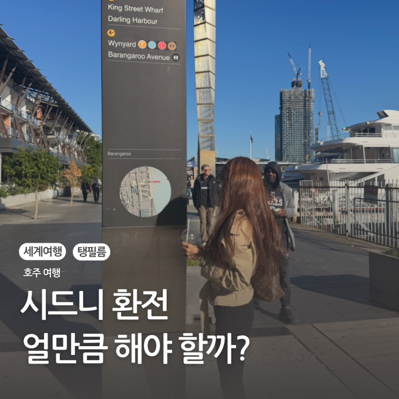 시드니 환전 얼마 해야 할까? 직접 다녀온 현실 후기